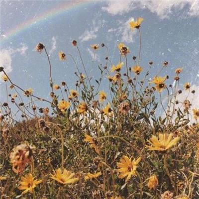 欢乐斗牛腾讯下载手机版