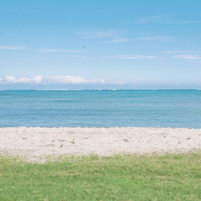 b体育官网入口在线