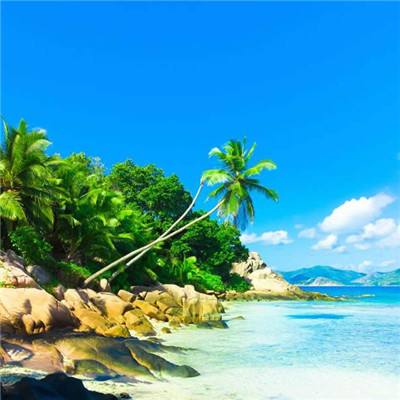 助赢软件下载手机版