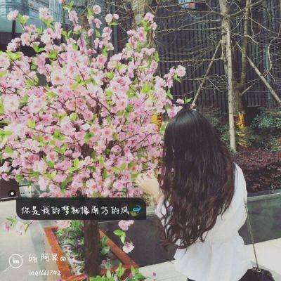 火狐体育下载app